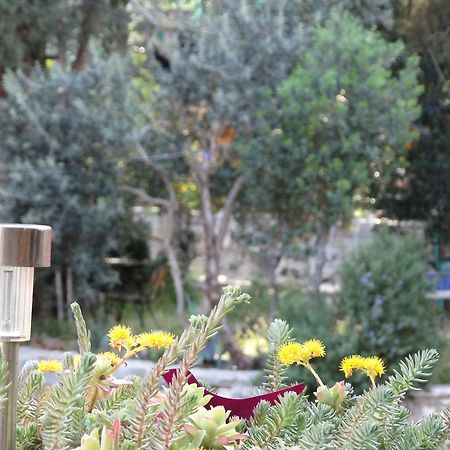 Guesthouse Marileo Split Dış mekan fotoğraf